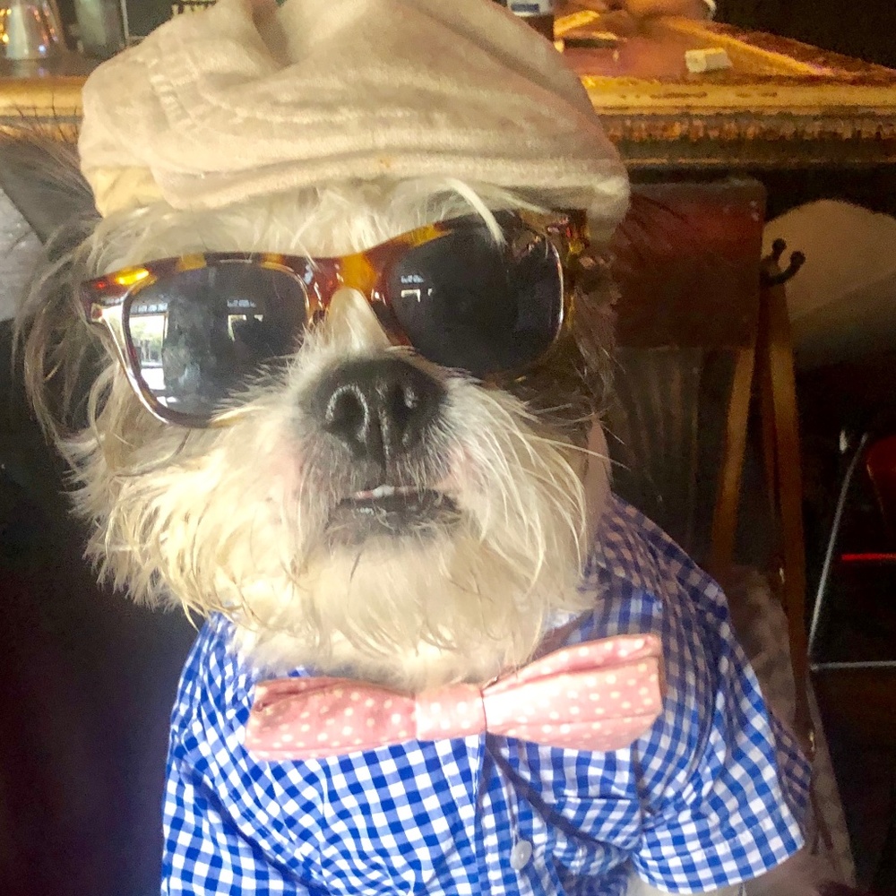 Meet your Posher, Tracy